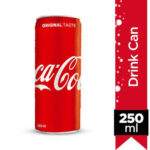 Coca Cola 250 Ml Can